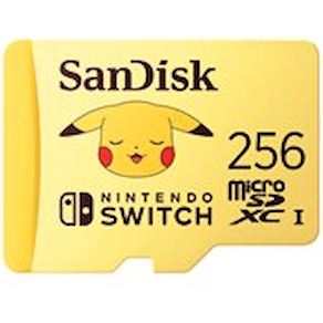 SanDisk - Flash-minneskort - 256 GB - Video Class V30 / UHS-I U3