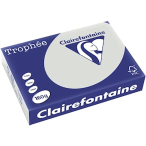Gekleurd papier Clairefontaine Trophée Pastel, lichtgrijs, A4, 160 g, 250 vel