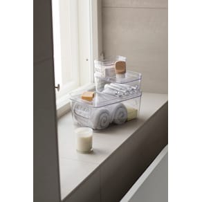 Låg Opbevaringskasse SmartStore Compact L Klar