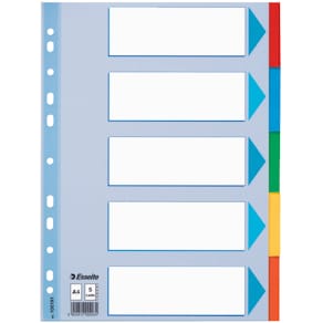 Register Esselte Standard Blanko, A4, 5-teilig