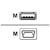 Cisco - USB-kabel - USB (hane) till mini-USB typ B (hane) - 1.83