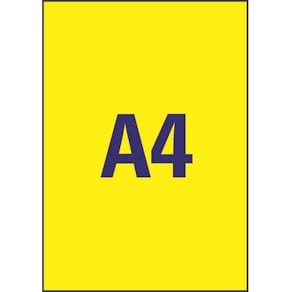 Etikett AVERY 210x297mm neongul 20/FP