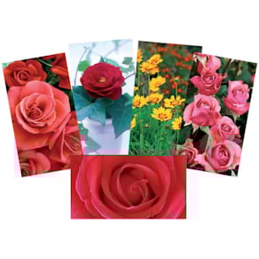 Fotokartenbox BSB, blanko, 10 Karten/10 Umschläge