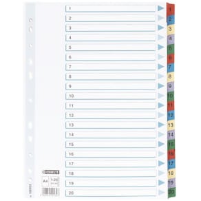 Register ESSELTE Mylar A4 1-20 multifärgat