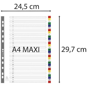 Plastregister EXACOMPTA PP A4+ 1-31 f.f