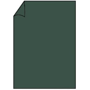 Briefbogen Rössler Coloretti, A4, 80 g/m², 10 St., Forest