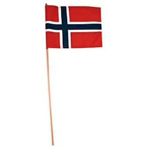 Flagg norsk 20x28cm