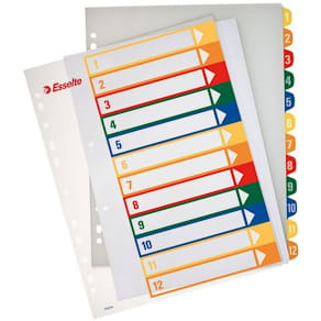 Plastregister Plast ESSELTE Projektindex A4+ 1-12