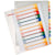Plastregister Plast ESSELTE Projektindex A4+ 1-12