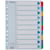 Register ESSELTE Mylar A4 1-10 multifärgat