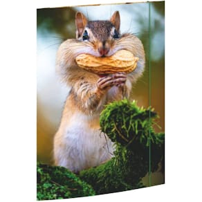 Gummizugmappe RNK Chipmunk, A3