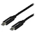 StarTech 2m 6ft USB C to USB C Cable - 5A PD - USB 2.0 USB-IF