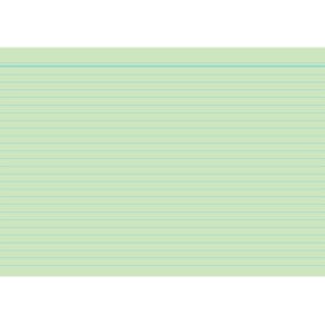 Karteikarte RNK, A6, 100 St., grün