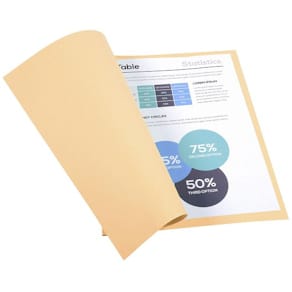 Mapp EXACOMPTA utan klaff A4 beige