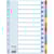 Tabbladen Esselte, 12 tabs, A4, gerecycled karton, gekleurde tabs