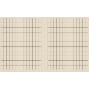 Arbeidsbok 17x21 80g 11x18 rutet