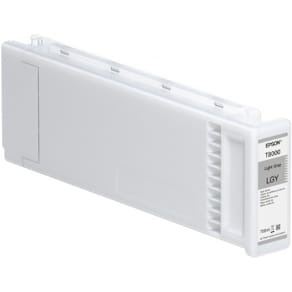 Bläckpatron EPSON C13T800900 Grå