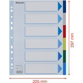 Tabbladen Esselte, 6 tabs, A4, PP, geassorteerde kleuren
