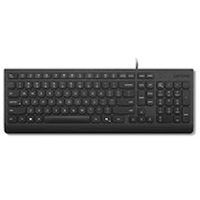 Lenovo Essential - Tangentbord - USB - QWERTY - Nordisk - svart