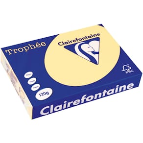Gekleurd papier Clairefontaine Trophée Pastel, A4, 120 g, geel,  