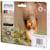Inktcartridge Epson 378, 240 - 360 pagina's, OEM C13T37884010, 6