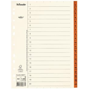 Pärmregister ESSELTE A4 1-20, flikförstärk