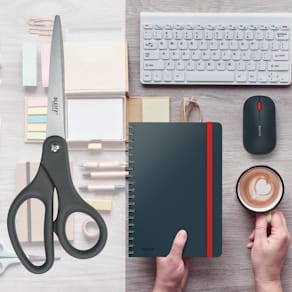 Schere Leitz Titan, 205 mm, dunkelgrau