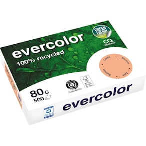 Gekleurd papier Clairefontaine Evercolor, gerecycled, A4, 80 g/m²
