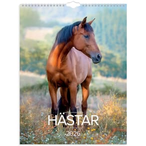Stora Hästkalendern 2026 vägg