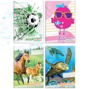 Hausaufgabenheft LERNFREUNDE Farbenfroh, A6, sortiert