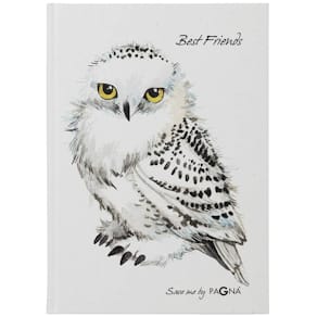 Freundebuch PAGNA Save me No. 2, Eule, weiß