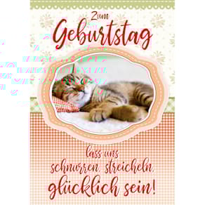 Geburtstagskarte Apollo A4, Katze, mit Sound und Umschlag