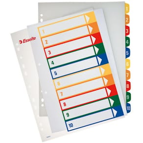 Pärmregister Plast ESSELTE Projektindex A4+ 1-10