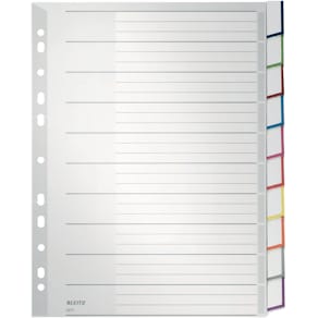 Register Leitz, A4, blanko, grau