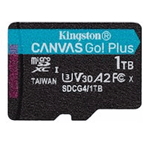Kingston Canvas Go! Plus - Flash-minneskort - 1 TB - A2 / Video