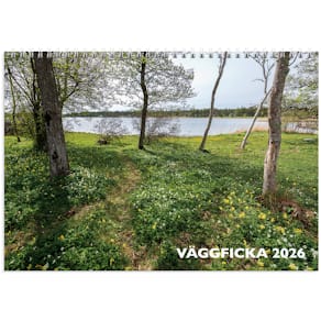 Väggkalender 2026 Väggficka