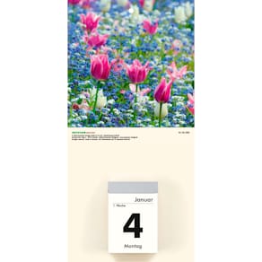 Kalenderrückwand ZETTLER, Blumen, 2-fach sortiert, 145 x 300 mm