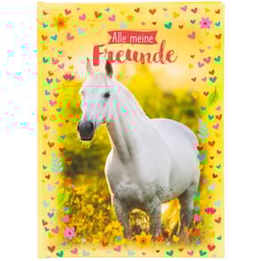 Freundebuch GOLDBUCH Chiara, DIN A5, 88 Seiten, bunt