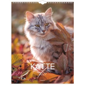 Vægkalender Mayland Kattemotiver, 295x394 mm, 2027, FSC