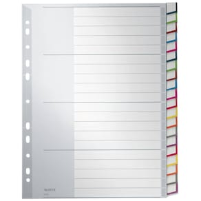 Plastikregister Leitz, A4, blanko, 20-tlg., grau