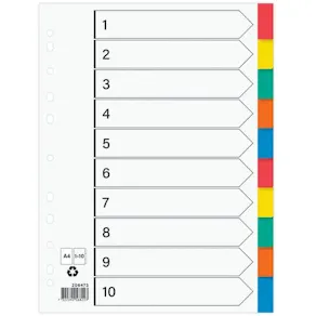 Plastregister otryckta A4 10-fli