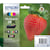 Assortiment aan kleuren