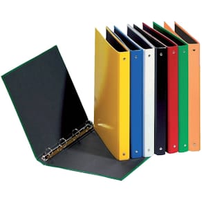Ringbuch PAGNA Basic Colours, A4, Pappe, sortiert
