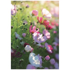 Glückwunschkarte, bunt, mit Umschlag (Allgemeiner Glückwunsch)