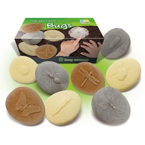 Undersök insekter av sten 8/fp