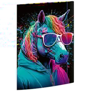 Sammelmappe RNK Neon, A4