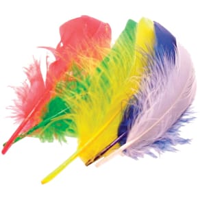 Pluimen Bouhon, 15 cm, assorti, 50 stuks