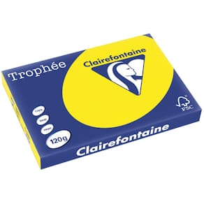 Gekleurd papier Clairefontaine Trophée Intens, A3, 120 g, 250 vel