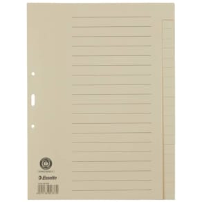 Register Esselte, A4, blanko, chamois