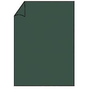 Briefbogen Rössler Coloretti A4, 165 g/m², 10 Blatt, Forest
